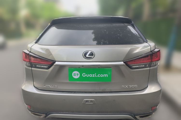 Used Lexus RX 2020 300 4x4 Elegant Edition China VI Rear