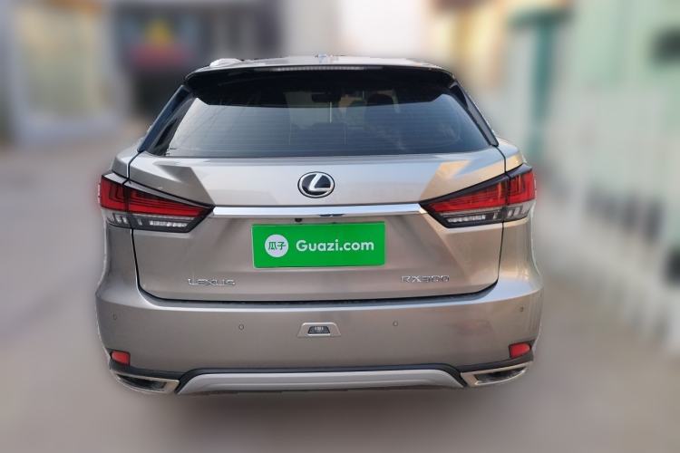 Used Lexus RX 2020 Revised Version 300 Two-Wheel Drive Comfort Edition Rear
