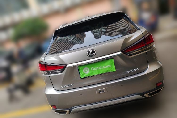 Used Lexus RX 2020 Facelifted 300 4x4 Elegant Edition Rear