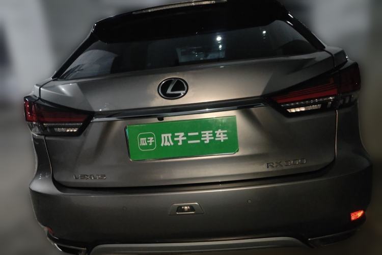 Used Lexus RX 2020 300 Two-Wheel Drive Elite Edition China VI Standard Rear