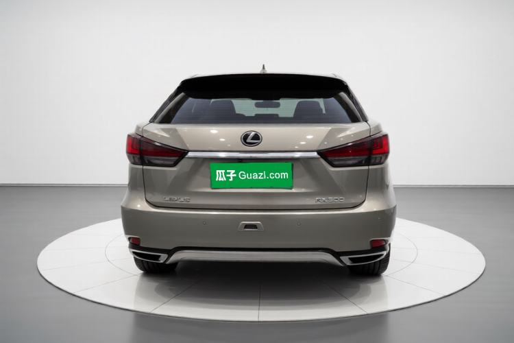 Used Lexus RX 2020 Revised Version 300 Two-Wheel Drive Elite Edition Rear