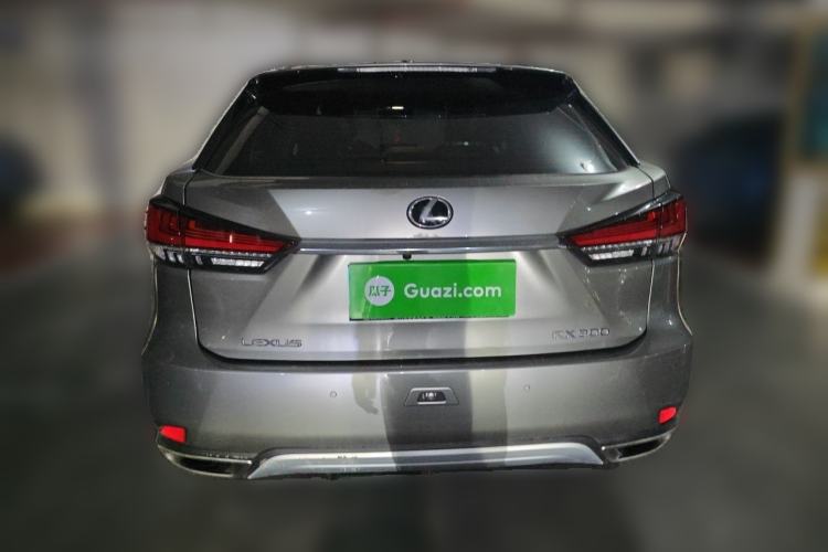 Used Lexus RX 2020 Revised Version 300 Two-Wheel Drive Elite Edition Rear