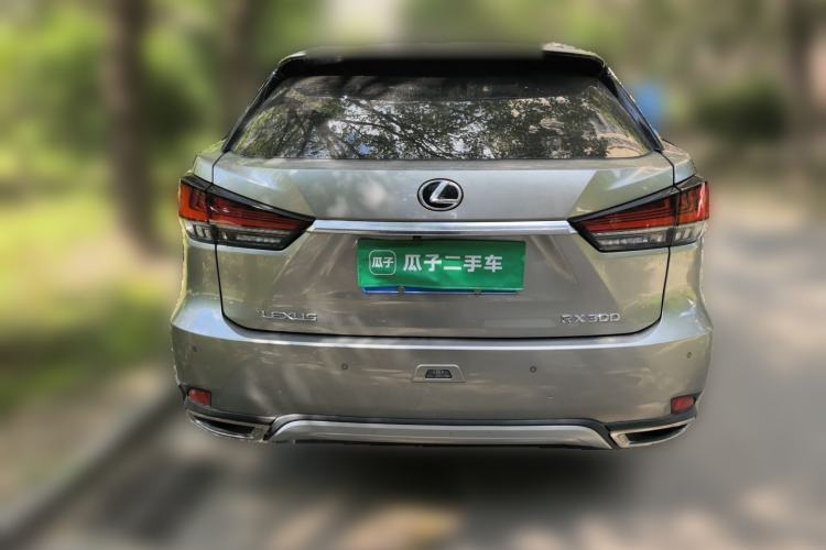 Used Lexus RX 2020 Revised Version 300 Two-Wheel Drive Comfort Edition Rear