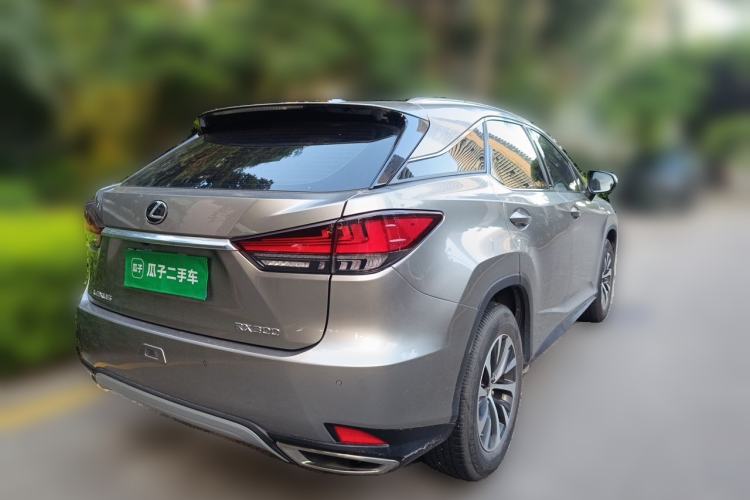Used Lexus RX 2020 300 Two-Wheel Drive Elite Edition China VI Standard Rear Right 45 Deg