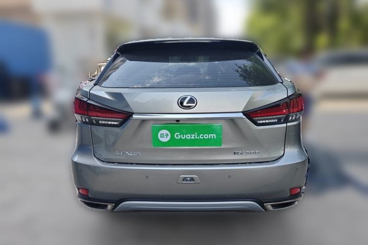 Used Lexus RX 2020 300 Two-Wheel Drive Elite Edition China VI Standard Rear