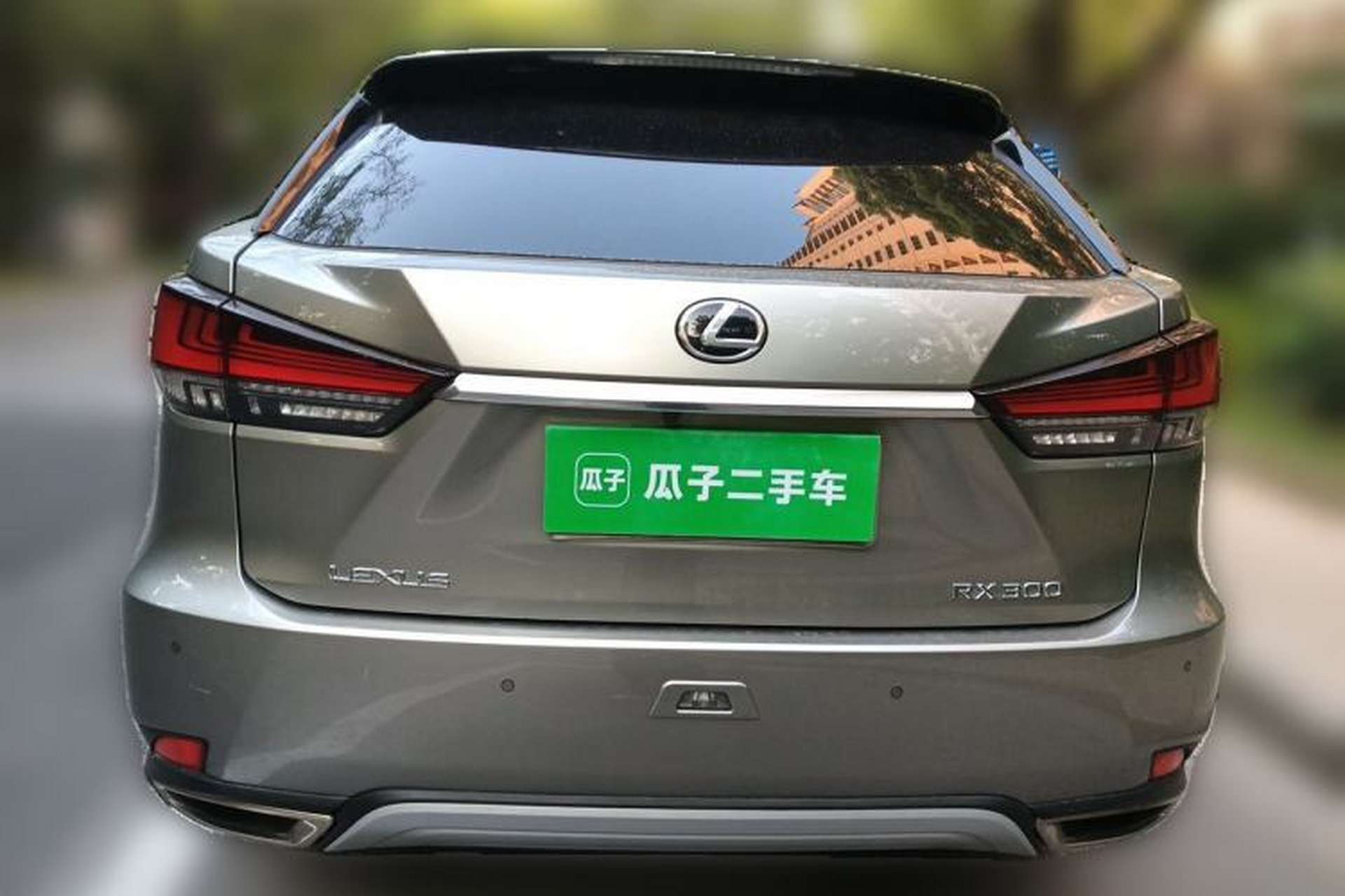 Used Lexus RX 2020 Facelifted 300 4x4 Elegant Edition Rear