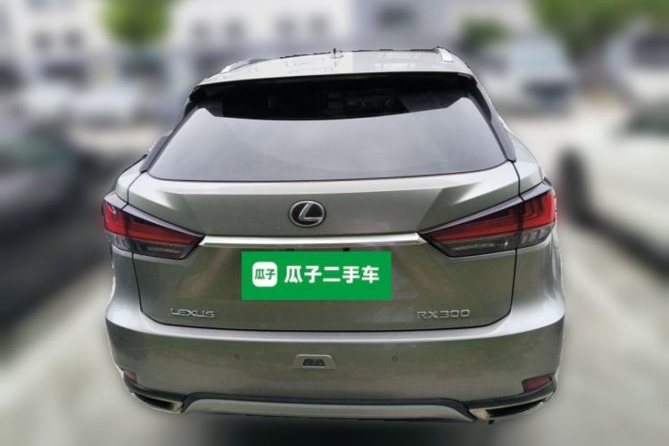 Used Lexus RX 2020 300 4x4 Elegant Edition China VI Rear