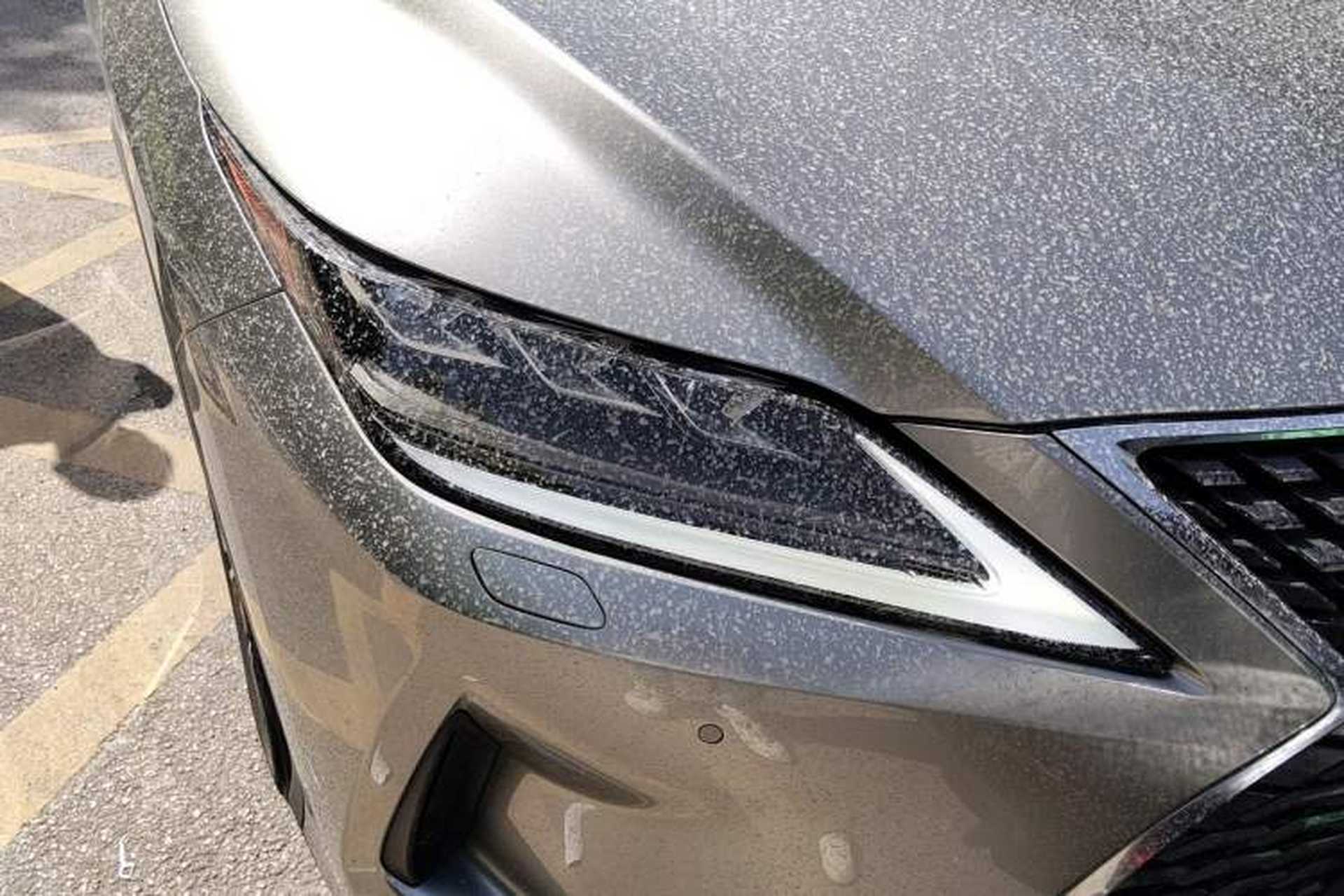 Used Lexus RX 2020 Facelifted 300 4x4 Elegant Edition Right Front Headlight