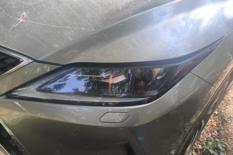 Used Lexus RX 2020 Revised Version 300 Two-Wheel Drive Elite Edition Right Front Headlight