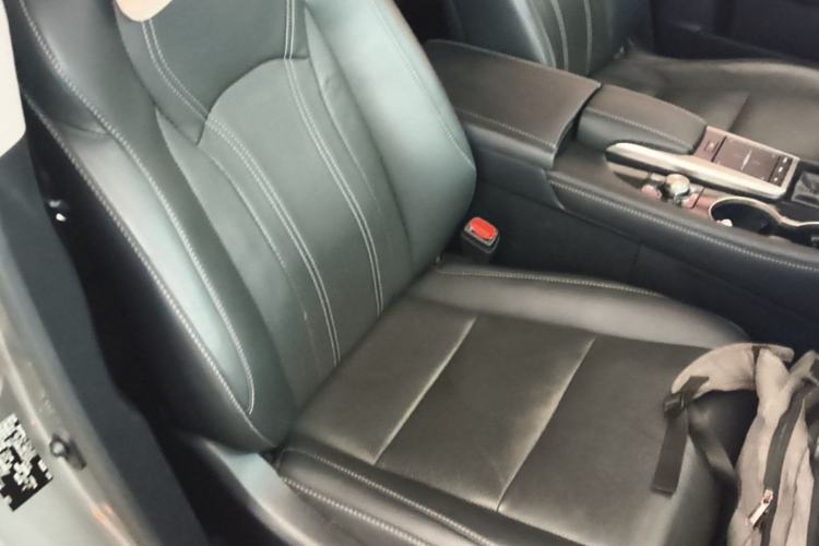 Used Lexus RX 2020 300 4x4 Elegant Edition China VI Right Front Seat