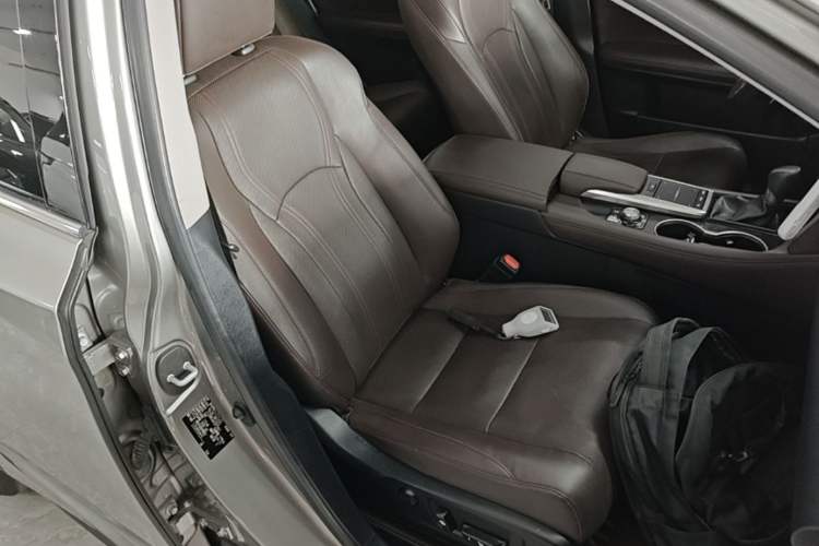 Used Lexus RX 2020 300 Two-Wheel Drive Comfort Edition China VI Standard Right Front Seat