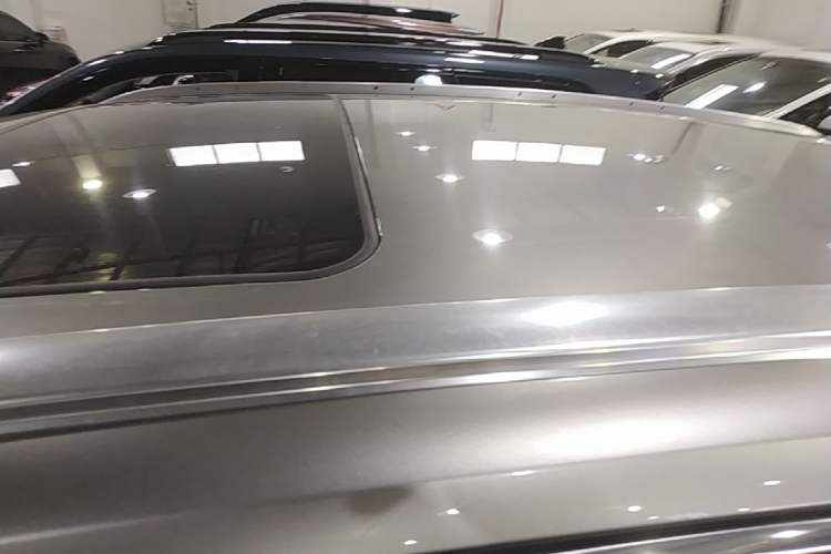 Used Lexus RX 2020 Revised Version 300 Two-Wheel Drive Elite Edition Roof
