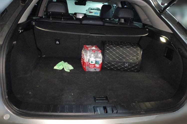 Used Lexus RX 2020 300 4x4 Elegant Edition China VI Trunk