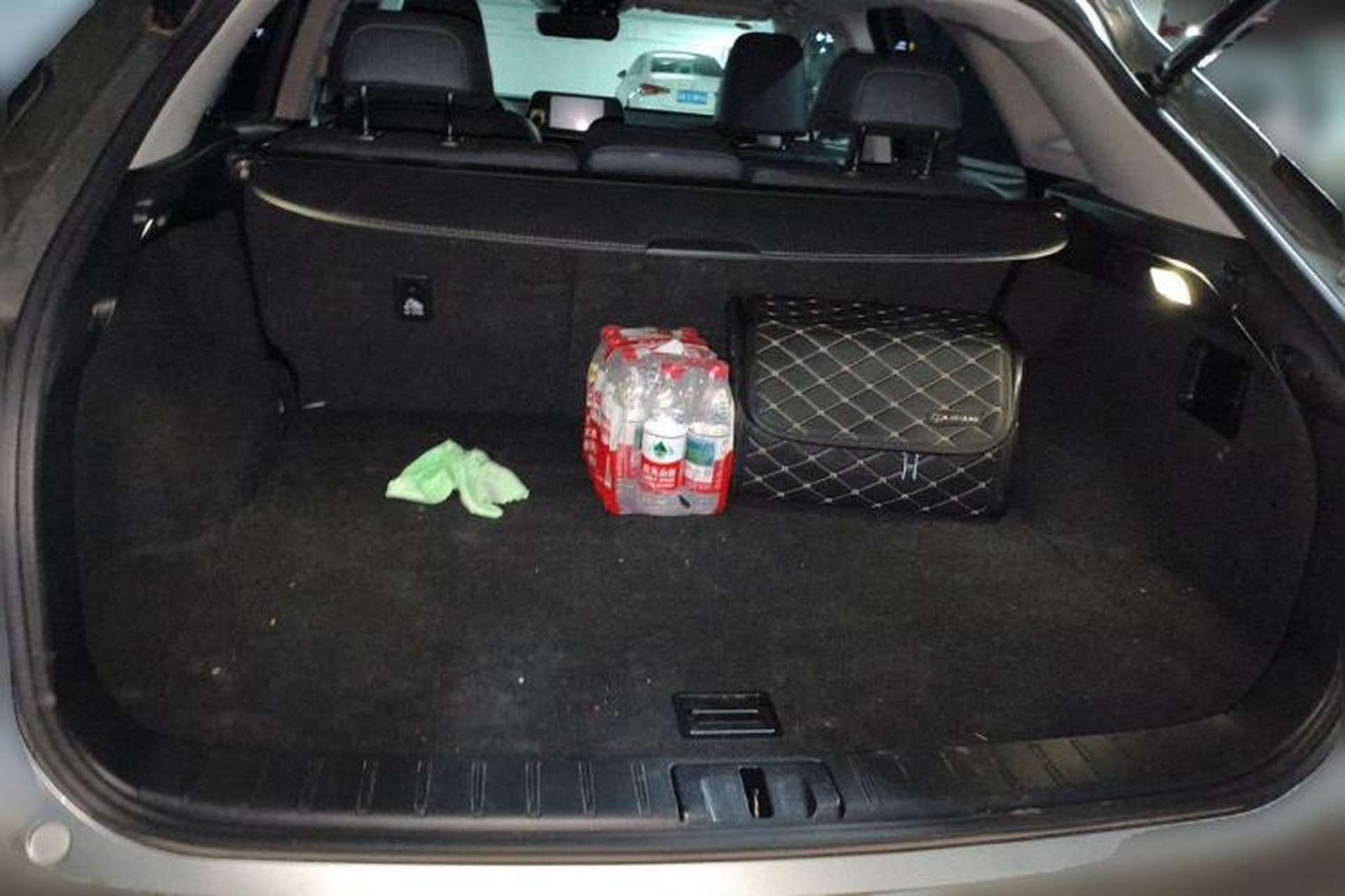 Used Lexus RX 2020 300 4x4 Elegant Edition China VI Trunk