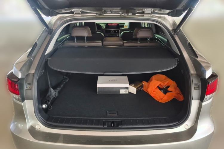 Used Lexus RX 2020 Facelifted 300 4x4 Elegant Edition Trunk