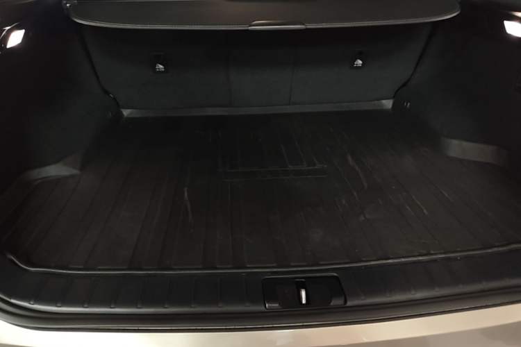 Used Lexus RX 2020 Revised Version 300 Two-Wheel Drive Elite Edition Trunk