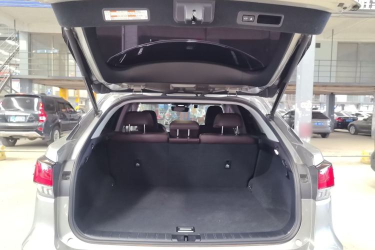 Used Lexus RX 2020 Facelifted 300 4x4 Elegant Edition Trunk