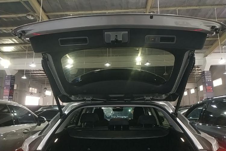 Used Lexus RX 2020 Revised Version 300 Two-Wheel Drive Elite Edition Trunk
