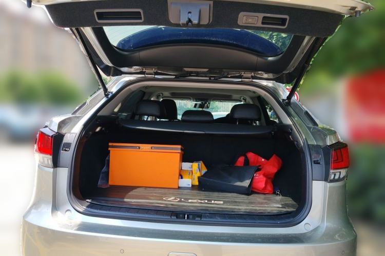 Used Lexus RX 2020 Revised Version 300 Two-Wheel Drive Elite Edition Trunk