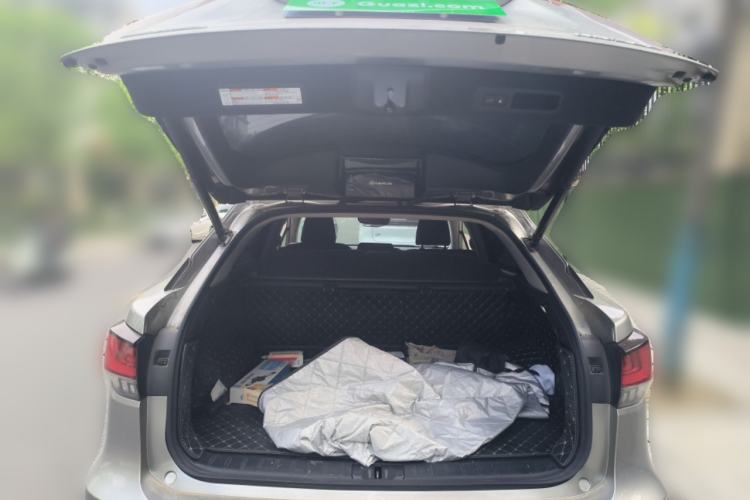 Used Lexus RX 2020 300 4x4 Elegant Edition China VI Trunk