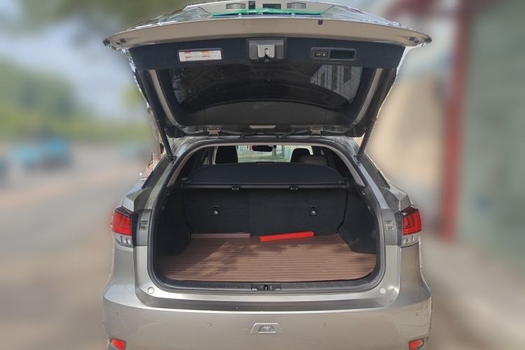 Used Lexus RX 2020 Facelifted 300 4x4 Elegant Edition Trunk