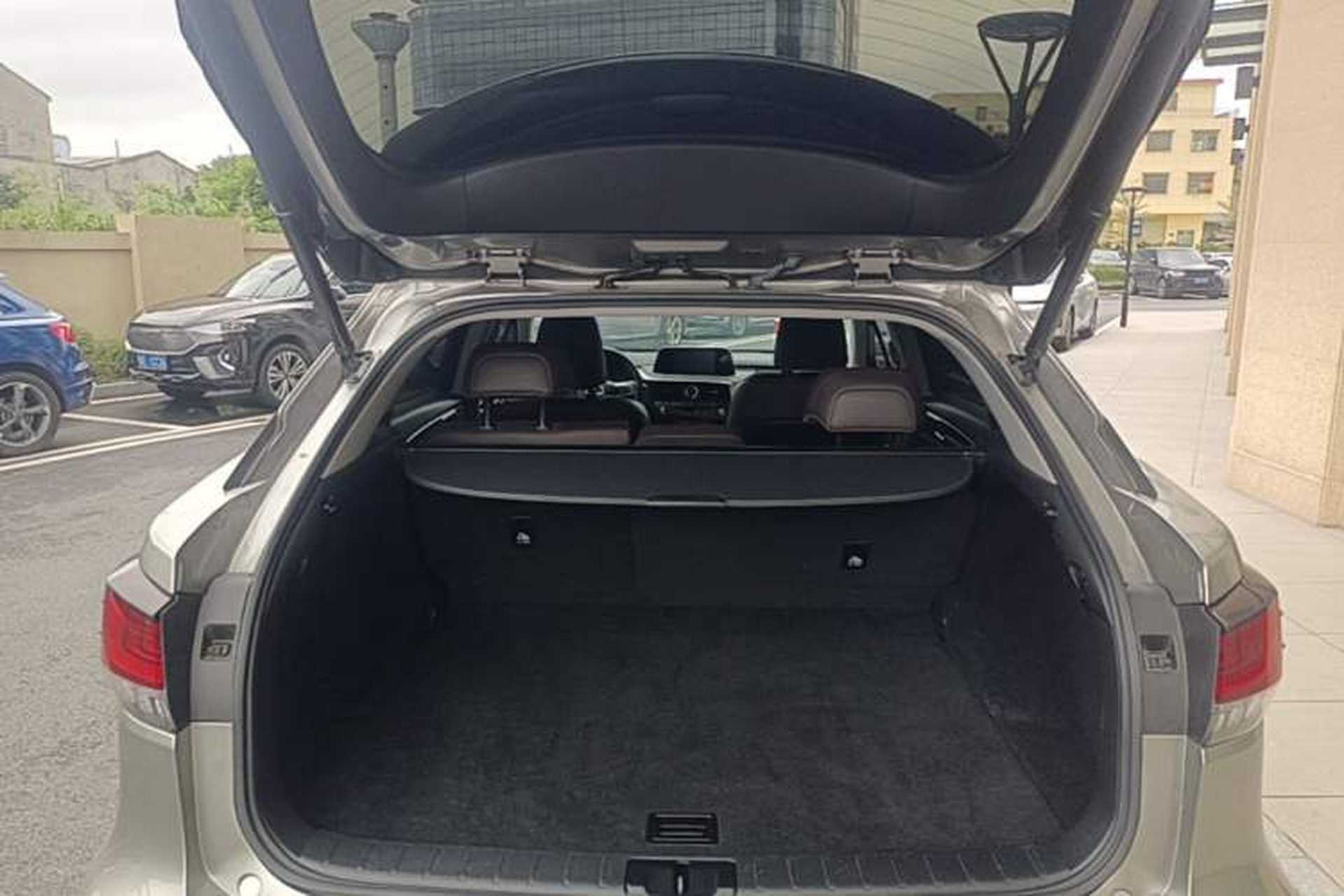 Used Lexus RX 2020 Facelifted 300 4x4 Elegant Edition Trunk