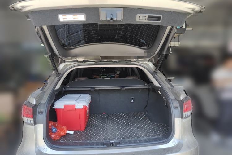Used Lexus RX 2020 Facelifted 300 4x4 Elegant Edition Trunk