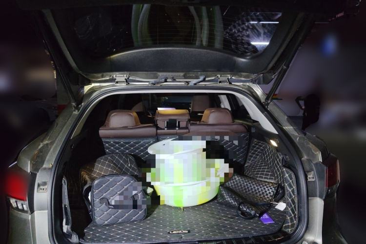 Used Lexus RX 2020 Facelifted 300 4x4 Elegant Edition Trunk