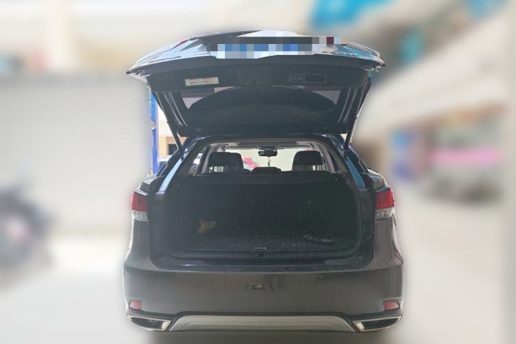 Used Lexus RX 2020 Facelifted 300 4x4 Elegant Edition Trunk
