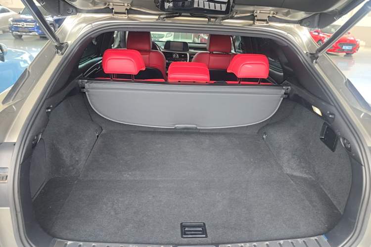 Used Lexus RX 2020 Revised Version 300 Four-Wheel Drive F SPORT Trunk