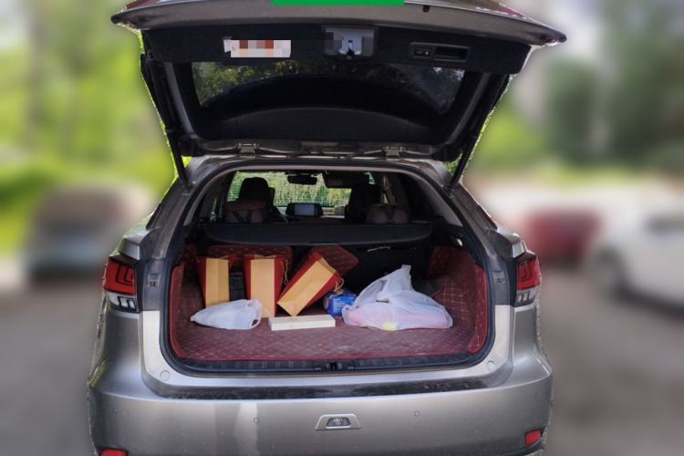 Used Lexus RX 2020 300 4x4 Elegant Edition China VI Trunk