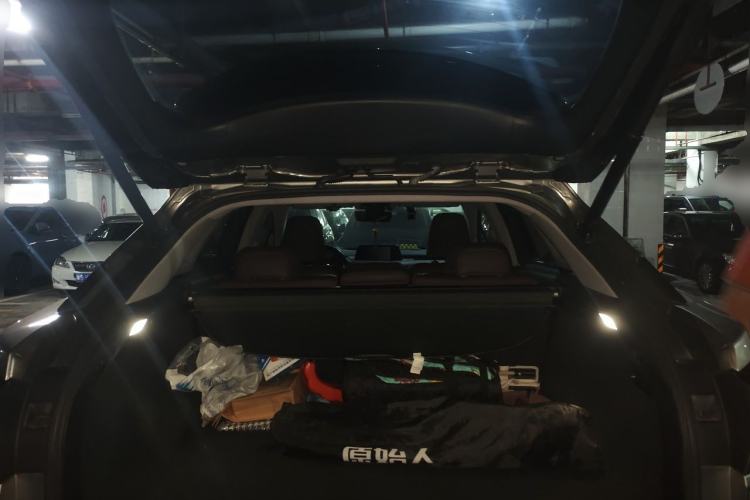 Used Lexus RX 2020 Facelifted 300 4x4 Elegant Edition Trunk