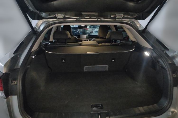 Used Lexus RX 2020 300 Two-Wheel Drive Elite Edition China VI Standard Trunk