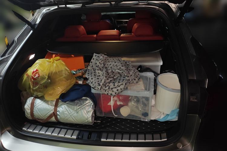 Used Lexus RX 2020 300 4x4 F SPORT China VI Trunk