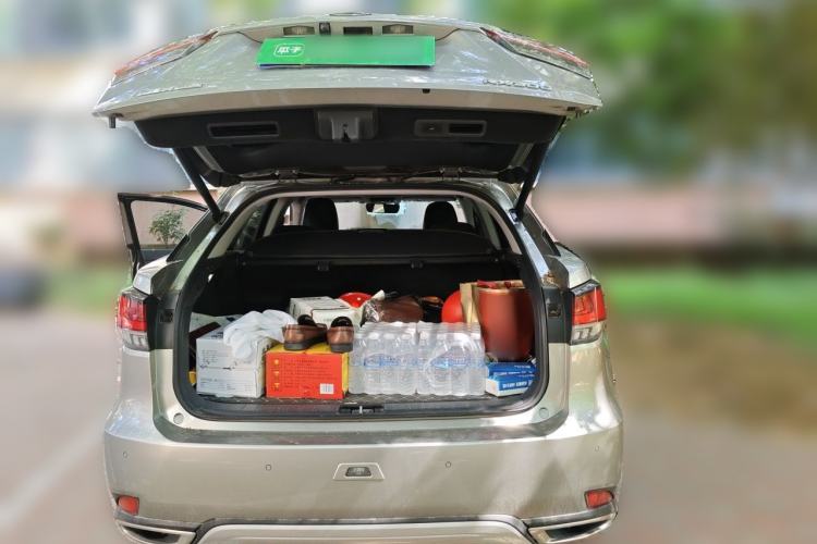 Used Lexus RX 2020 Revised Version 300 Two-Wheel Drive Elite Edition Trunk