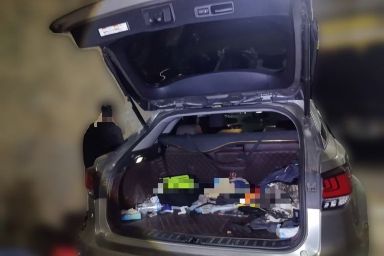Used Lexus RX 2020 Facelifted 300 4x4 Elegant Edition Trunk