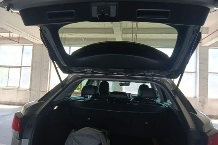 Used Lexus RX 2020 Revised Version 300 Two-Wheel Drive Elite Edition Trunk