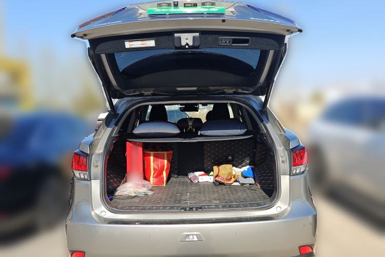 Used Lexus RX 2020 300 4x4 Elegant Edition China VI Trunk