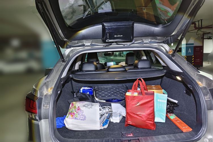 Used Lexus RX 2020 300 Two-Wheel Drive Elite Edition China VI Standard Trunk