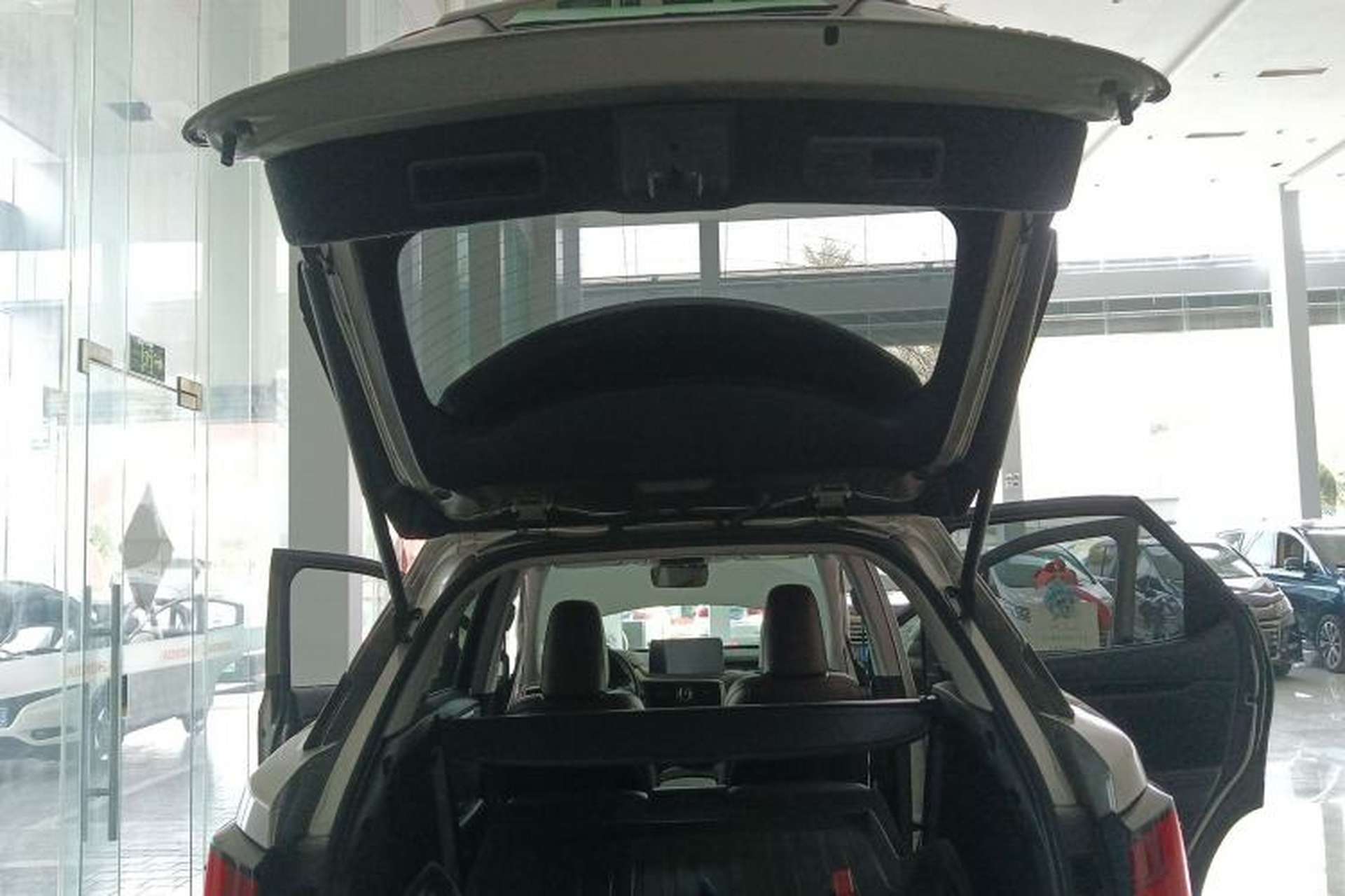 Used Lexus RX 2020 Revised Version 300 Two-Wheel Drive Elite Edition Trunk