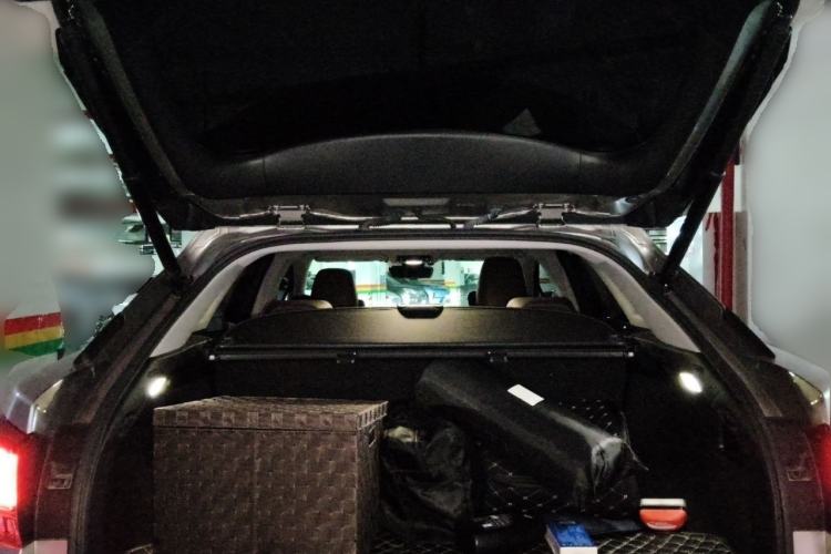 Used Lexus RX 2020 Facelifted 300 4x4 Elegant Edition Trunk