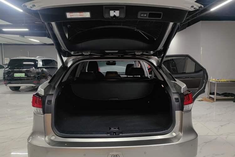 Used Lexus RX 2020 300 Two-Wheel Drive Comfort Edition China VI Standard Trunk