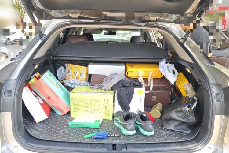 Used Lexus RX 2020 300 4x4 Elegant Edition China VI Trunk
