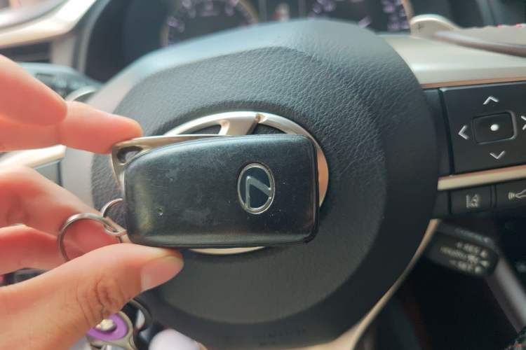 Used Lexus RX 2020 Revised Version 300 Two-Wheel Drive Comfort Edition Vehicle Key