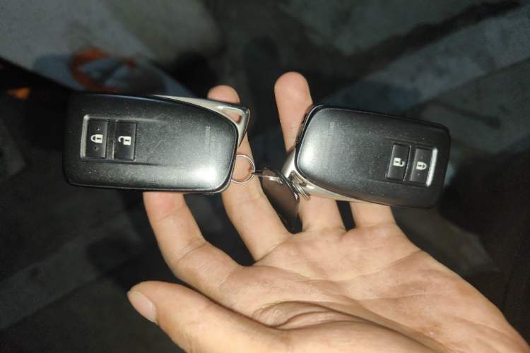 Used Lexus RX 2020 300 Two-Wheel Drive Elite Edition China VI Standard Vehicle Key