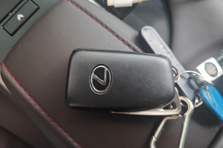 Used Lexus RX 2020 Revised Version 300 Two-Wheel Drive Comfort Edition Vehicle Key