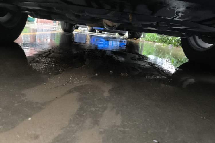 Used Lexus RX 2020 300 Two-Wheel Drive Elite Edition China VI Standard Chassis Front