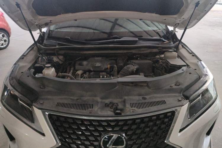 Used Lexus RX 2020 300 Two-Wheel Drive Elite Version China V Standard Engine Bay