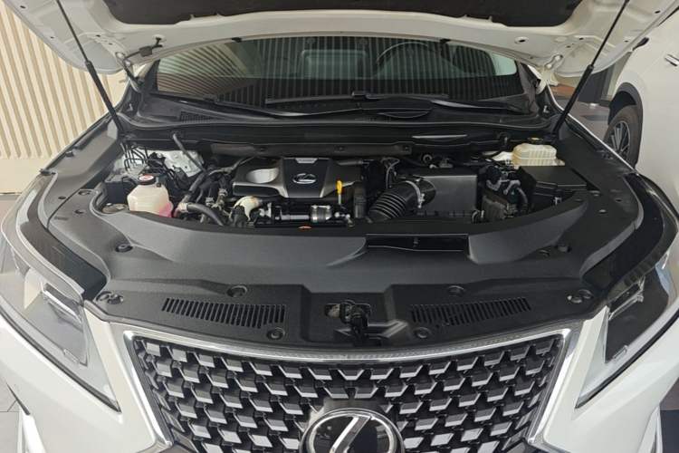 Used Lexus RX 2020 300 Two-Wheel Drive Elite Edition China VI Standard Engine Bay