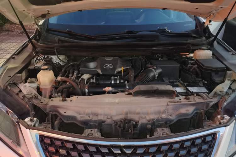 Used Lexus RX 2020 300 4x4 Elegant Edition China VI Engine Bay